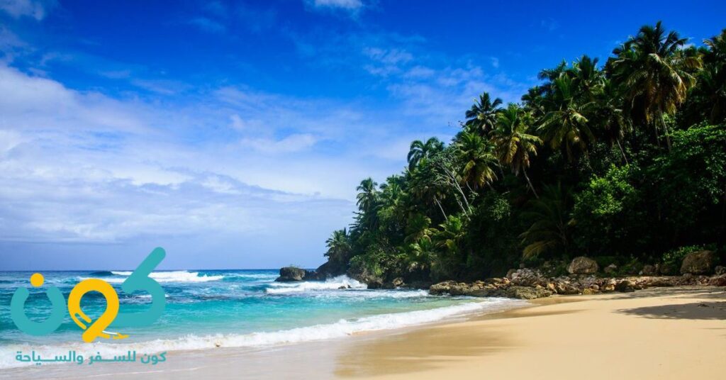 اين اذهب في باريس وجهات شتوية دافئة للسفر